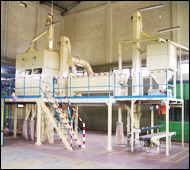 Seed Processing Machinery